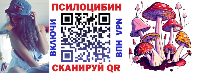 Псилоцибиновые грибы Magic Shrooms  наркотики  Большой Камень 